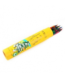 Colored Pencil M&G Erasable 12/Tube Awpq0506