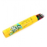 Colored Pencil M&G Erasable 12/Tube Awpq0506