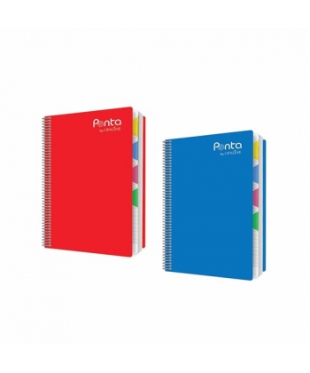 Notebook Bassile Freres Opaline 741445 A4 Seyes 5Sub 144 Sheets 70gm Spiral Pvc Cover