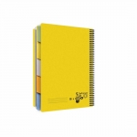 Notebook Bassile Freres Brio 745509 A4 Ruled 5 Sub. 96 Sheets 60gm Spiral