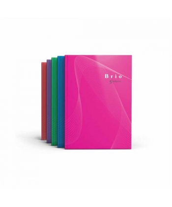 Notebook Bassile Freres Brio 745096 A4 Seyes 5 Sub. 96 Sheets 60gm Picture