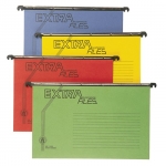 Suspension File Bassile Freres Extra 11066 PVC 24X31Cm Runners