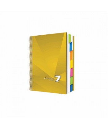 Notebook Bassile Freres Genio 767288 A4 Seyes 7Sub 288 Sheets 70gm Spiral H.Cover