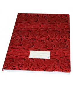Record Book Bassile Freres 430 PVC 3 Col.Foolscap 96 sheets