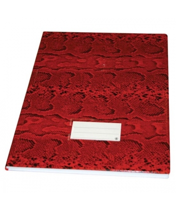Record Book Bassile Freres 430 PVC 3 Col.Foolscap 96 sheets
