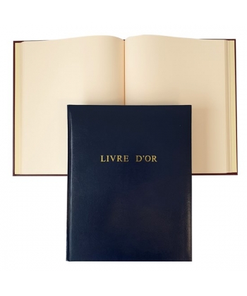 Gold Book Bassile Freres 3010.Bl Skyvertex Padded Cover 24X30.5Cm Blue