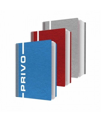 Notebook Bassile Freres Privo 80096 A4 Seyes Spiral 96sheets 80gm