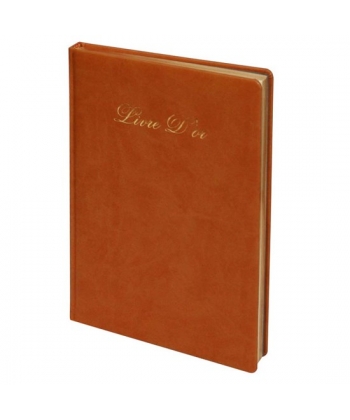 Gold Book Bassile Freres 3030 96 sheets 24X17Cm