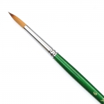 Brush Phoenix 6 Round 6603Rs