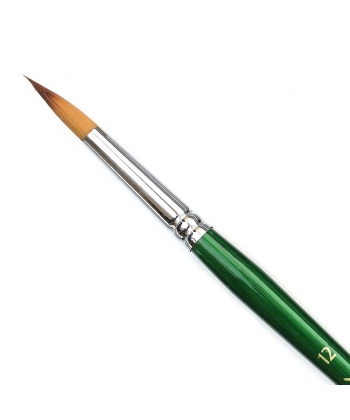 Brush Phoenix 12 Round 6603Rs