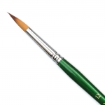 Brush Phoenix 12 Round 6603Rs