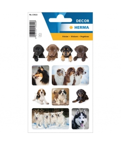 Sticker Decor Dogs Favorite