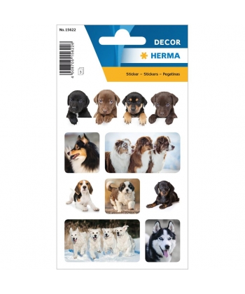 Sticker Decor Dogs Favorite