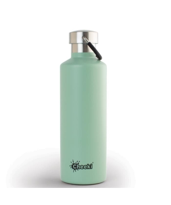 Water Bottle Cheeki Insulated Classic Bpa Free 600Ml Pistach