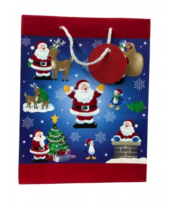 Card Group Gift Bag Large H