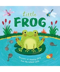 Picture Flats Little Frog