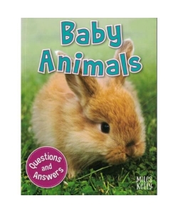 My Question & Answer N:01 Baby Animals