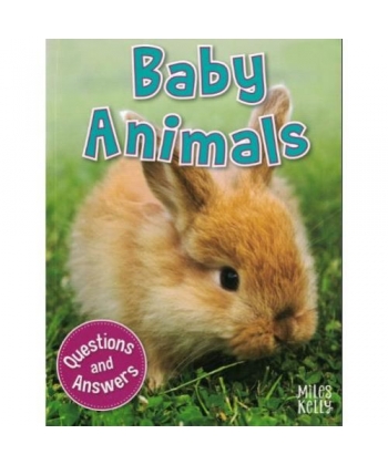 My Question & Answer N:01 Baby Animals