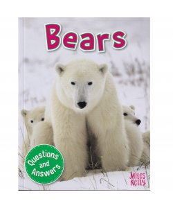 My Question & Answer N:02 Bears