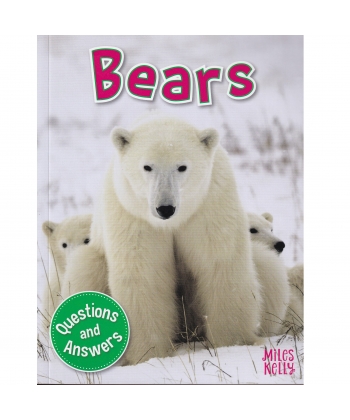 My Question & Answer N:02 Bears
