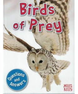 My Question & Answer N:04 Birds Of Prey