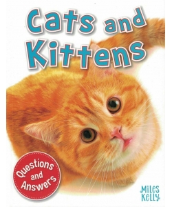 My Question & Answer N:05 Cats And Kiyyens