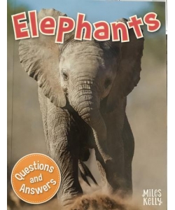 My Question & Answer N:09 Elephants