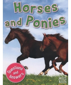My Question & Answer N:11 Horses And Ponies