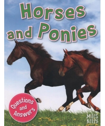 My Question & Answer N:11 Horses And Ponies