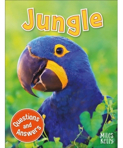 My Question & Answer N:13 Jungle