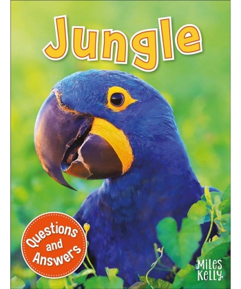 My Question & Answer N:13 Jungle