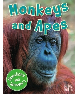 My Question & Answer N:14 Monkeys And Apes