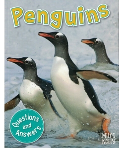 My Question & Answer N:16 Penguins