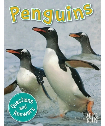My Question & Answer N:16 Penguins