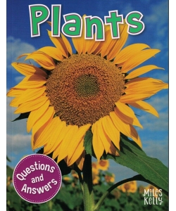 My Question & Answer N:18 Plants