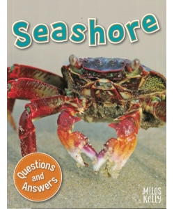 My Question & Answer N:20 Seashore