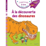 Sami Et Julie Ce1 - A Decouverte Dinosaures