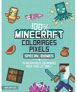 Coloriage Pix. Minecraft Biome 404 Editions