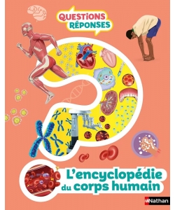 Questions Reponses L Encyclopedie Du Corps Humain