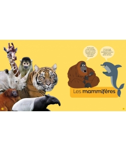 Tous Les Animaux Fr
