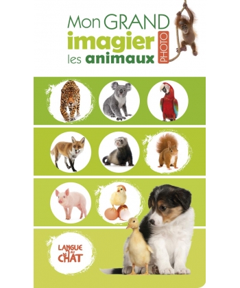 Mon Grand Imagier Photo - Anim Langue Au Chat