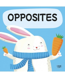 Sassi Les Contraires Livre De 10 Pages + 10 Puzzles 311046