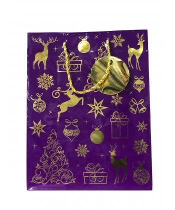 Card Group Gift Bag Large H