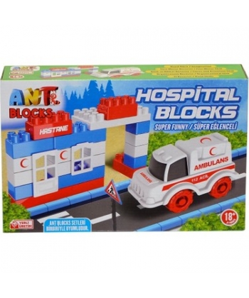 Ant Blocks Hospital 005Ant