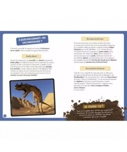 A La Decouverte Des Dinosaures