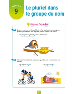 Pour Comprendre Dictees Ce1