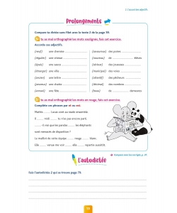 Pour Comprendre Dictees Cm1