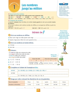 Pour Comprendre Maths Cm1