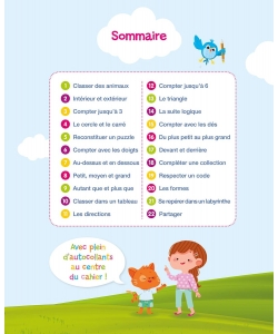 Toute Ma Maternelle Ps Maths
