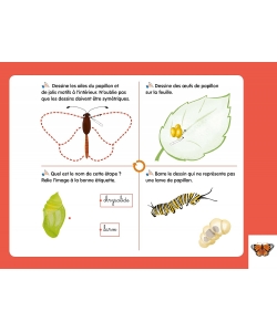 Cycles De Vie Montessori Bordas